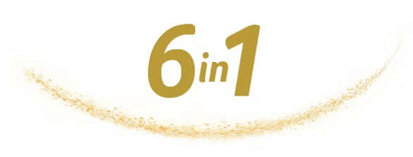 6in1